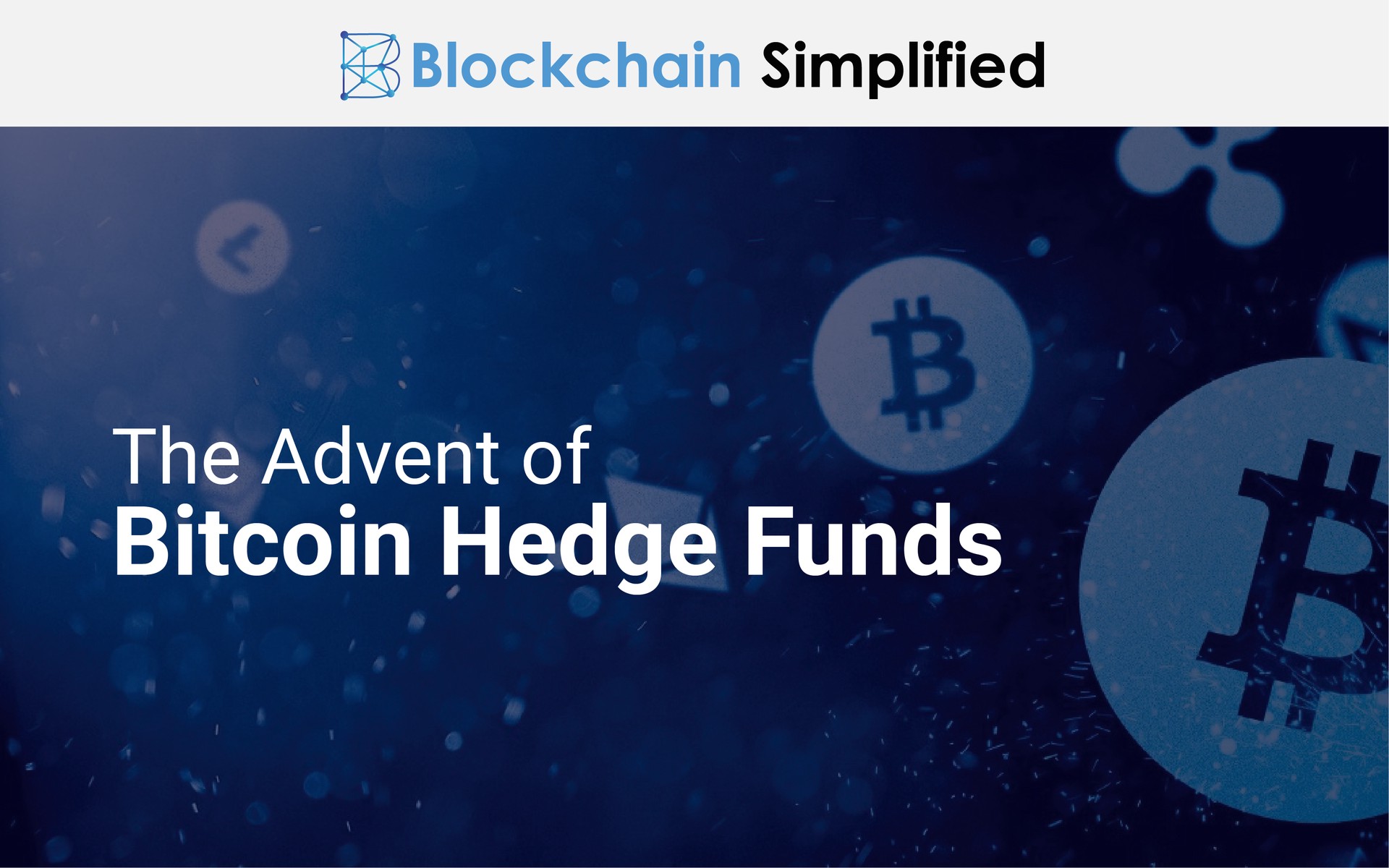 Crypto Bitcoin Hedge Funds main Crypto Bitcoin Hedge Funds main