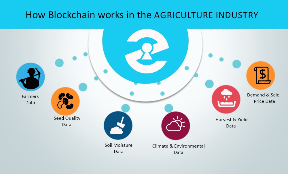 Blockchain in Agriculture application Blockchain in Agriculture application