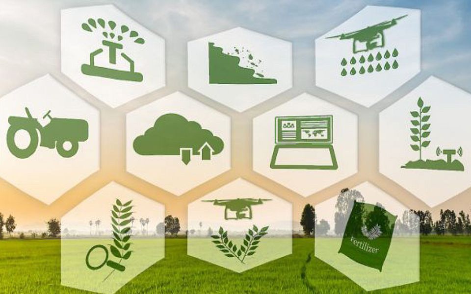Blockchain in Agriculture Blockchain in Agriculture