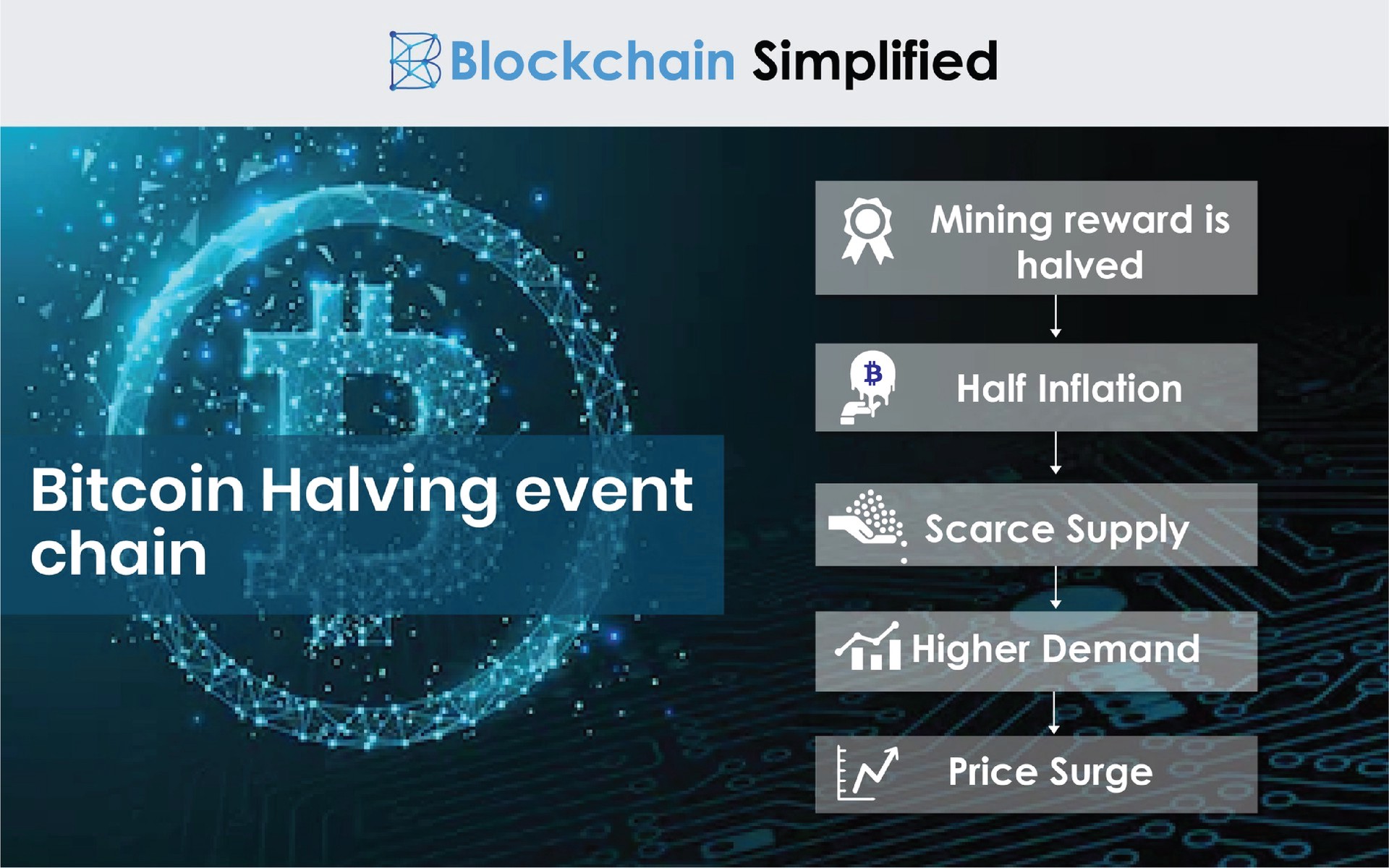 Bitcoin Halving chain Bitcoin Halving chain