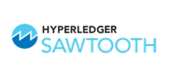 Blockchain Simplified top blockchain development company in pune india hyperledger sawtooth