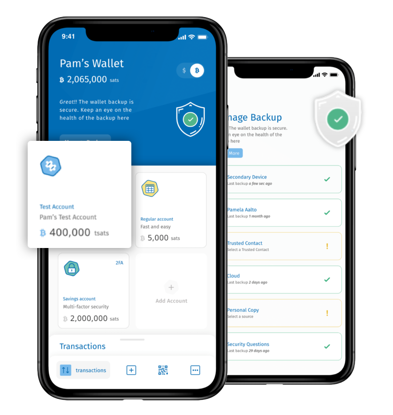 Top Blockchain development company in Pune India hexawallet5