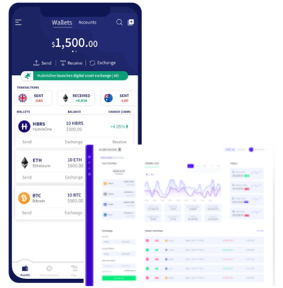 Top Blockchain development company in Pune India hexawallet6