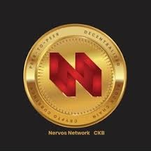 Top Blockchain development company in Pune India nervos3