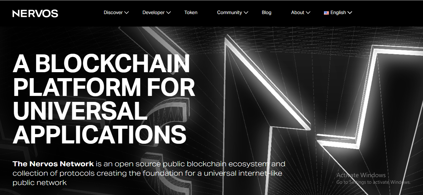 Top Blockchain development company in Pune India nervos1